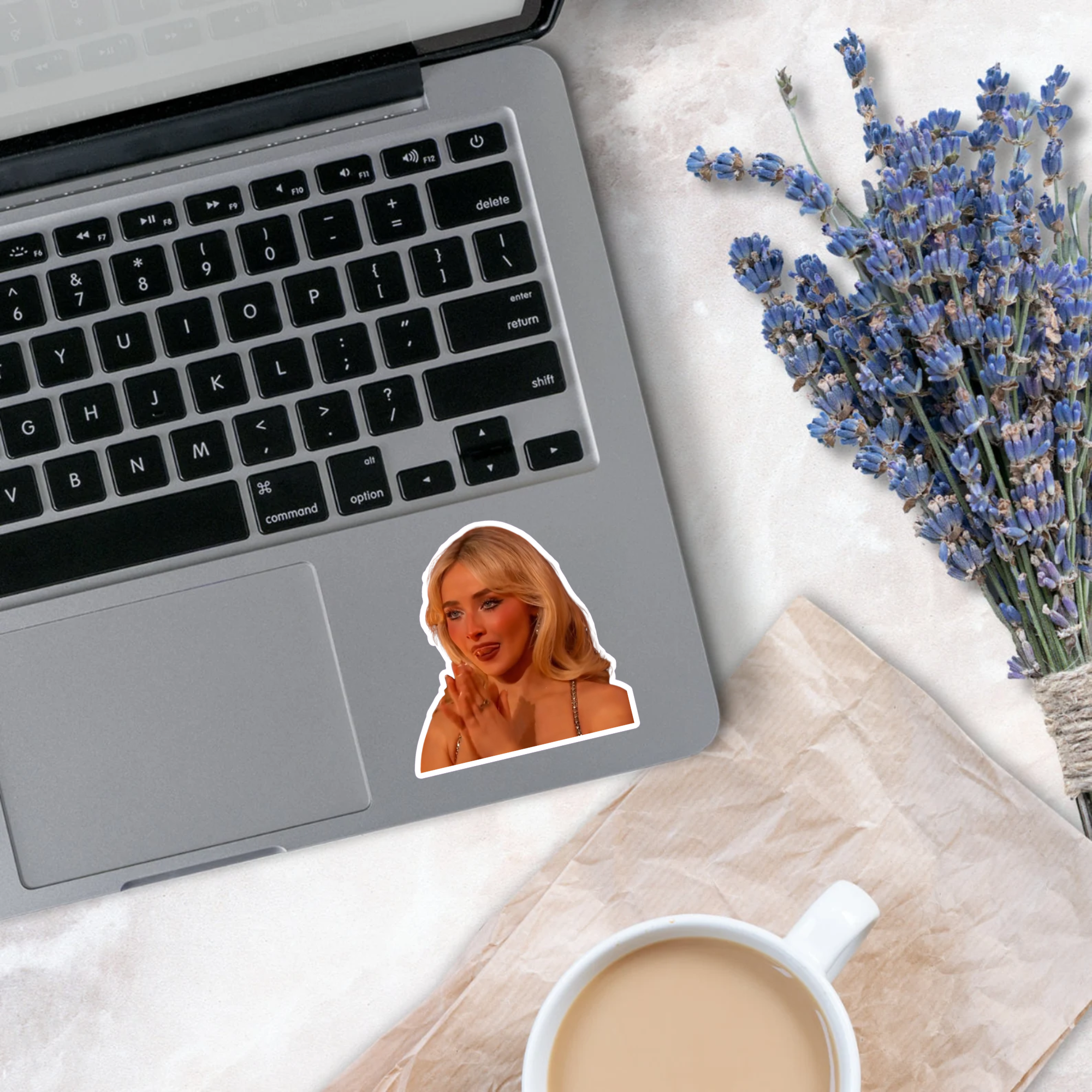 Sultry Sabrine Meme Sticker